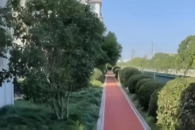 九游会j9官方网站|睁开眼看着我怎么吸你的视频|运动新选择！